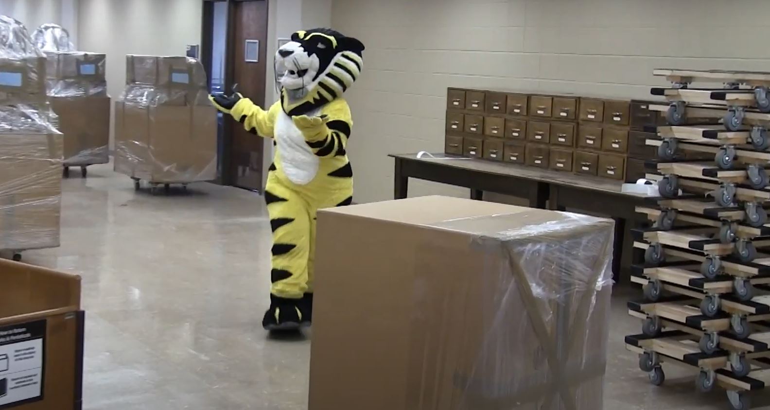 Victor E Tiger among moving boxes as some library collections are moved off-site for storage during the construction